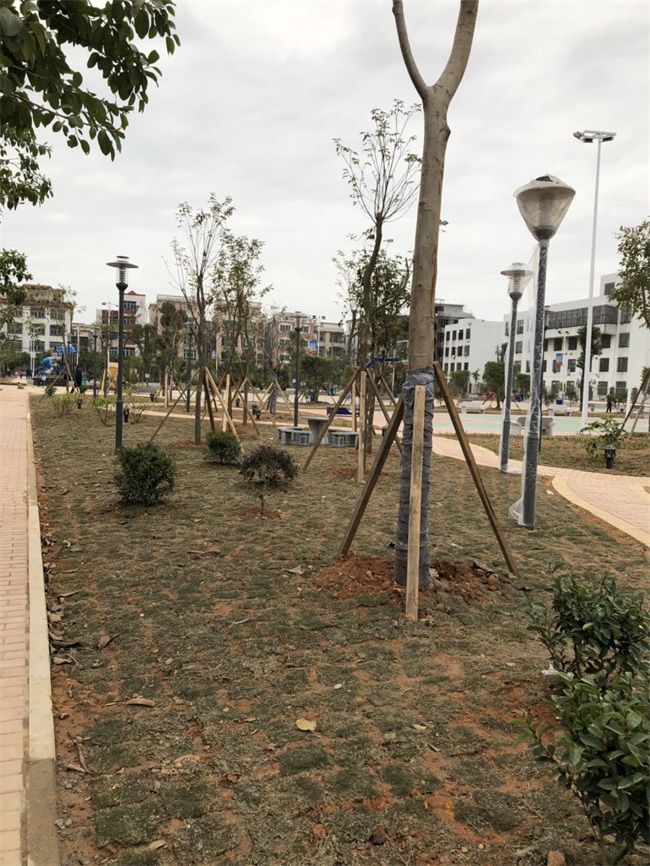 1520217332260342.jpg 臚溪文體廣場(chǎng) (7).jpg